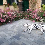 Casa Relax Immersa Nel Della Natura Casalborgone