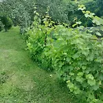 Casa Relax Immersa Nel Della Natura Апартаменты *