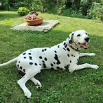 Casa Relax Immersa Nel Della Natura *