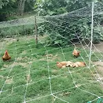 Casa Relax Immersa Nel Della Natura
