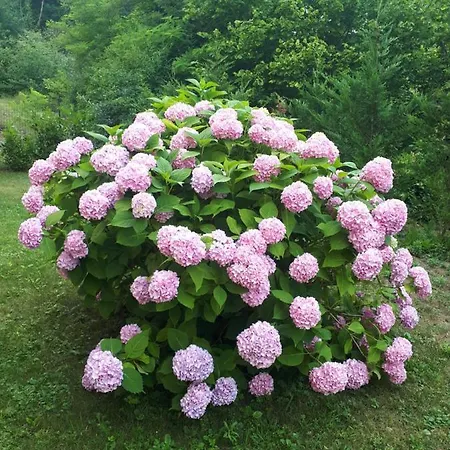Casa Relax Immersa Nel Della Natura