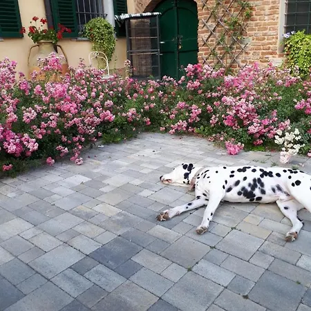 Casa Relax Immersa Nel Della Natura Casalborgone