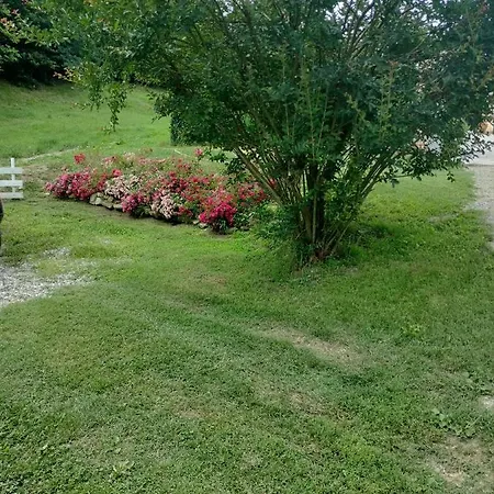 公寓 Casa Relax Immersa Nel Della Natura Casalborgone