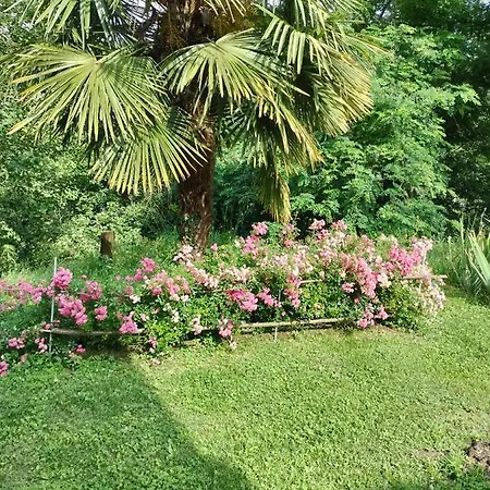 Casa Relax Immersa Nel Della Natura Appartement Casalborgone