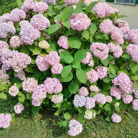 Casa Relax Immersa Nel Della Natura