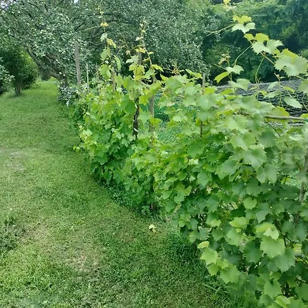 Casa Relax Immersa Nel Della Natura Appartement *