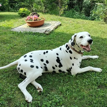 Casa Relax Immersa Nel Della Natura *