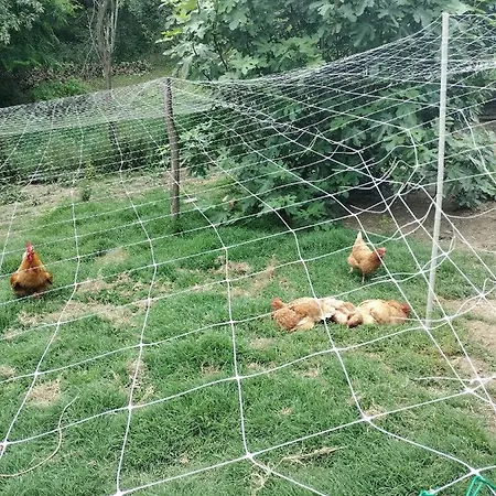 Casa Relax Immersa Nel Della Natura