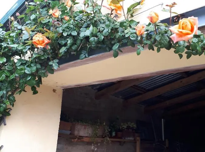 Casa Relax Immersa Nel Della Natura * 카살보르고네