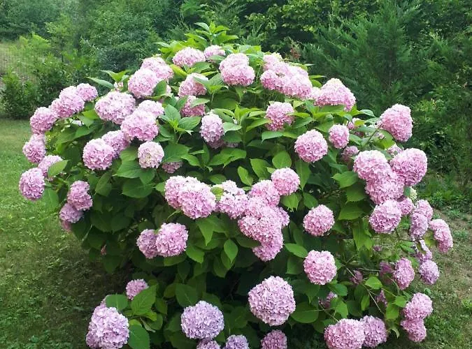 Casa Relax Immersa Nel Della Natura