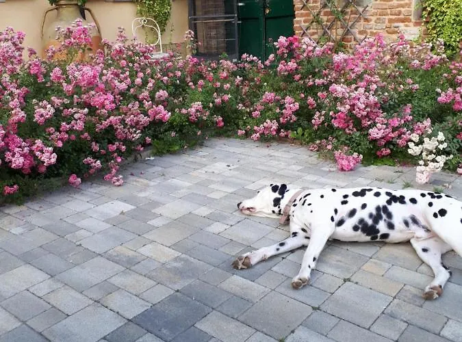 Casa Relax Immersa Nel Della Natura 카살보르고네