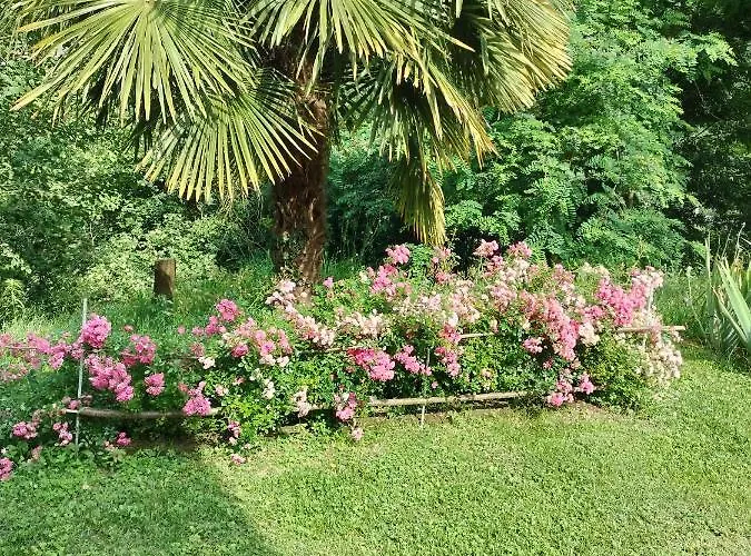 Casa Relax Immersa Nel Della Natura 아파트 카살보르고네