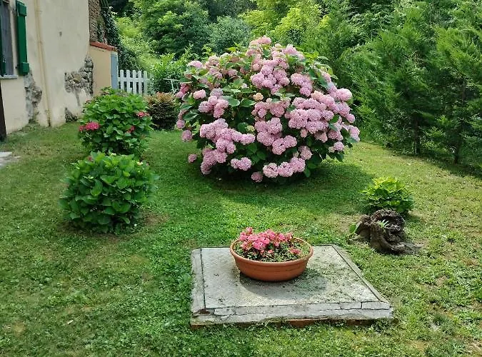 Casa Relax Immersa Nel Della Natura 카살보르고네