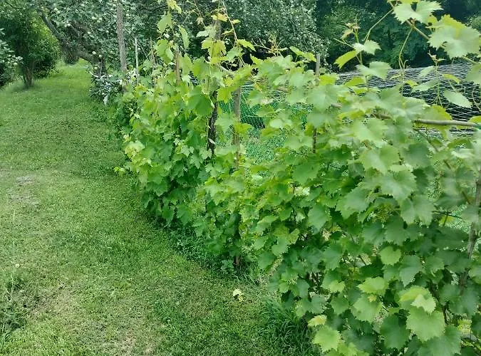 Casa Relax Immersa Nel Della Natura 아파트 *