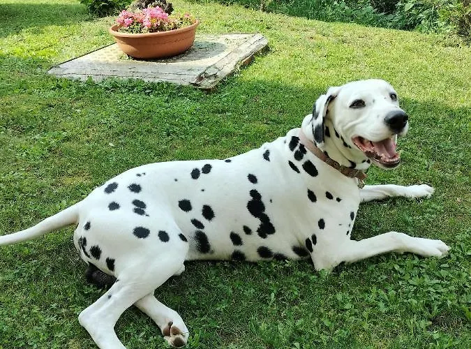 Casa Relax Immersa Nel Della Natura *