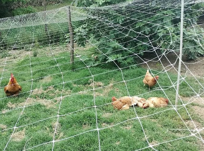 Casa Relax Immersa Nel Della Natura
